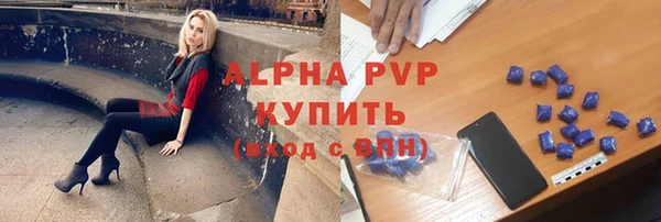 стаф Белокуриха