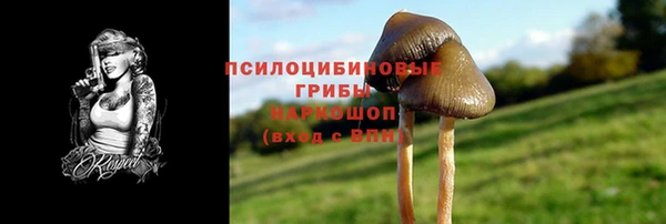 2c-b Беломорск