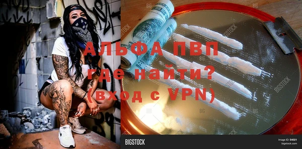 спиды Сосновый Бор