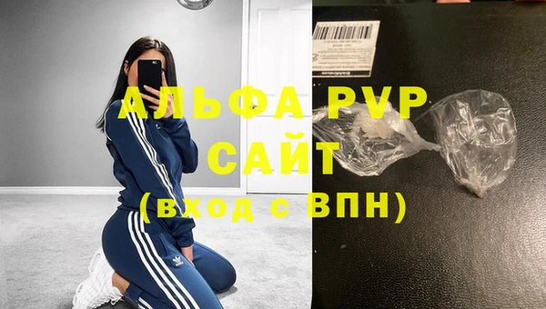 стаф Белокуриха