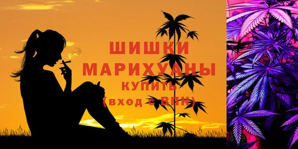 стаф Белокуриха