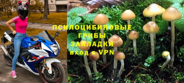 2c-b Беломорск