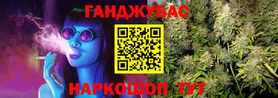амф Сланцы