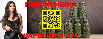 амф Сланцы