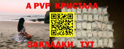 амф Сланцы