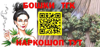 амф Сланцы