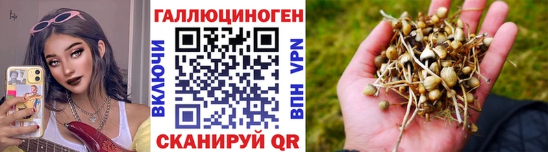 Псилоцибиновые грибы мицелий  хочу наркоту  Реж 