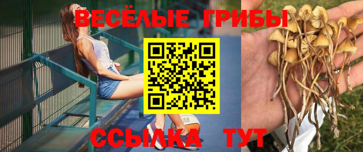Псилоцибиновые грибы ЛСД  Вход с VPN  Реж 