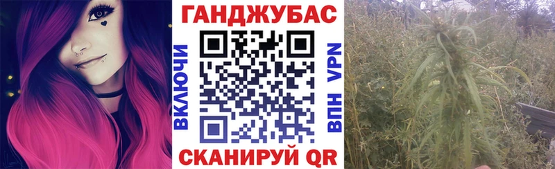 Конопля сатива Реж